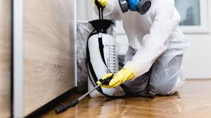 Best Emergency Pest Control  in Jamesport, NY